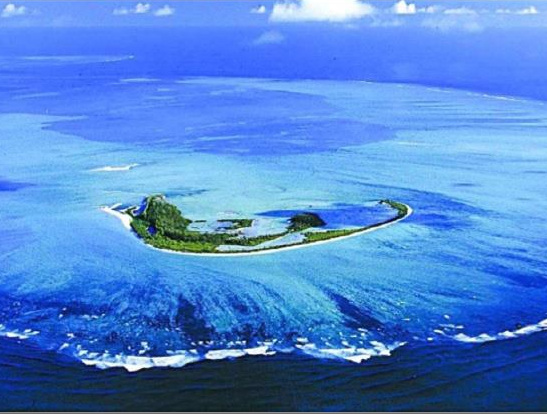 A new diving experience in Seychelles