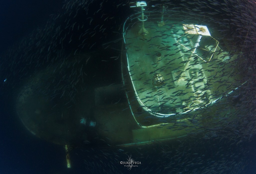 The wreck of Rio Sainas